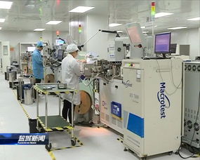 緊扣一體化，推動(dòng)高質(zhì)量 晶科微電子的全方位深層次接軌上海之路